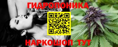винт Бийск