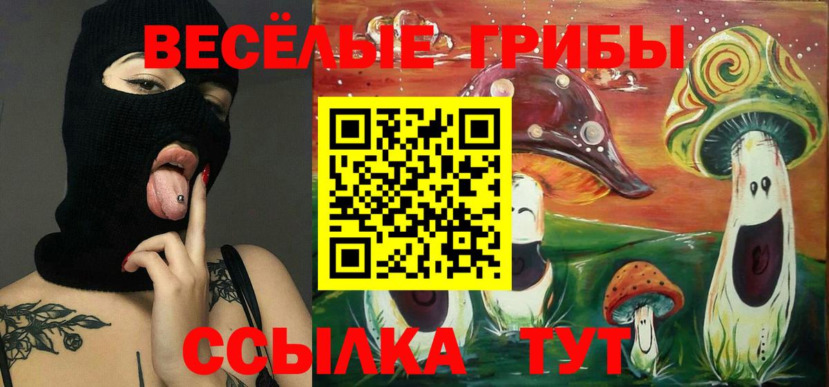 Псилоцибиновые грибы Cubensis Балабаново