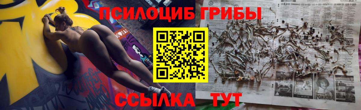 Галлюциногенные грибы Cubensis  Вход с VPN  Балабаново 